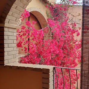  Casa vacanze P.piano - Centro Paese Italia